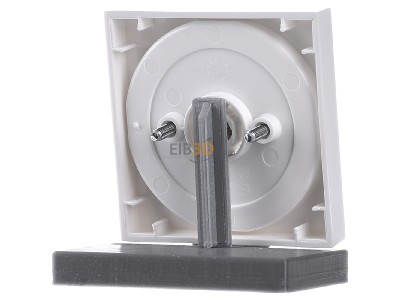 Ansicht hinten Gira 066603 Zentralplatte rws-gl m.Knebel f.Jalousies 