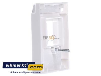 View on the right Gira 087603 Control element TAE 
