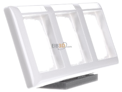 View on the left Gira 109303 Frame 3-gang white 
