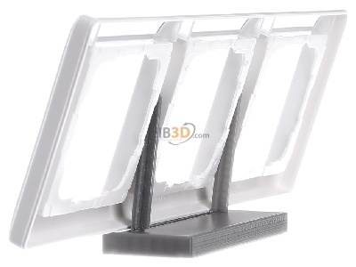 View on the right Gira 109303 Frame 3-gang white 
