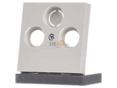 Frontansicht Gira 086901 Zentralplatte cws-gl fr Koax-Steckdose 