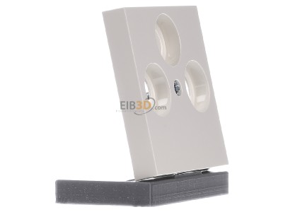 Ansicht links Gira 086901 Zentralplatte cws-gl fr Koax-Steckdose 