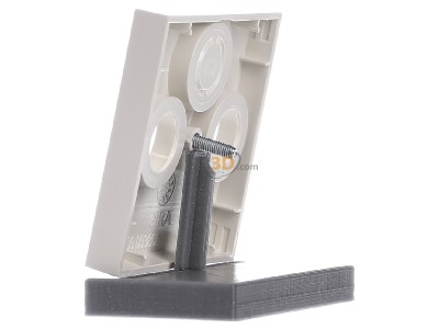 Ansicht rechts Gira 086901 Zentralplatte cws-gl fr Koax-Steckdose 