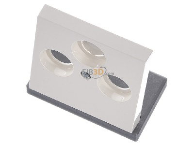 Ansicht oben vorne Gira 086901 Zentralplatte cws-gl fr Koax-Steckdose 