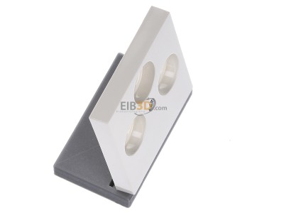 Ansicht oben links Gira 086901 Zentralplatte cws-gl fr Koax-Steckdose 
