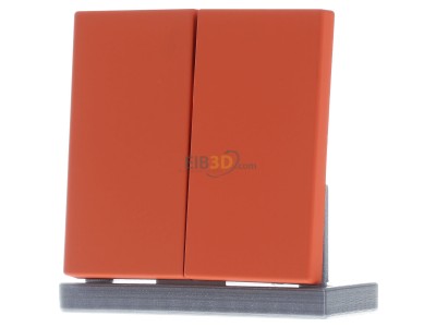 Frontansicht Jung LC 995224 Wippe 2fach orange (32080) 