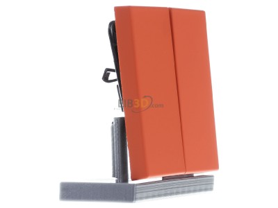Ansicht links Jung LC 995224 Wippe 2fach orange (32080) 