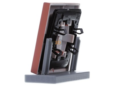 View on the right Jung LC 995236 Cover plate for switch/push button 
