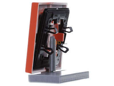 View on the right Jung LC 995260 Cover plate for switch/push button 
