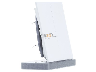 View on the left Busch Jaeger 1785-44M Cover plate for switch/push button 
