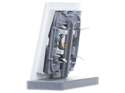View on the right Busch Jaeger 1785-44M Cover plate for switch/push button 

