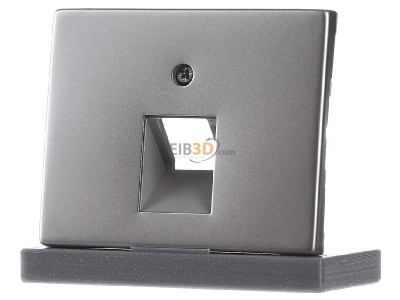 Frontansicht Berker 14077004 Zentralstck eds f.UAE-Anschlussdose 