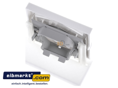 Ansicht oben hinten Gira 0296112 Wippe Wechselsch. rws-gl 