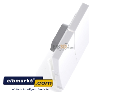 Ansicht oben links Gira 0295112 Wippe Seriensch. rws-gl 