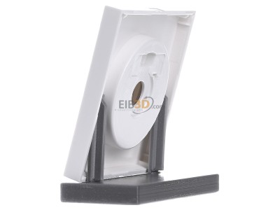 Ansicht rechts Gira 0650112 Dimmer-Abdeckung rws-gl 