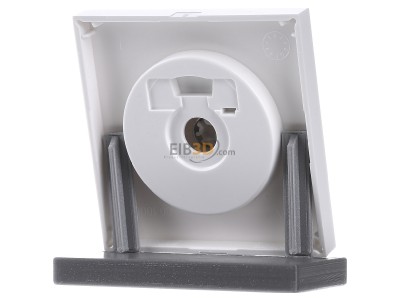 Ansicht hinten Gira 0650112 Dimmer-Abdeckung rws-gl 