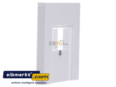 View on the left Gira 0276112 Control element TAE
