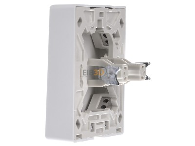 View on the right Busch Jaeger 3746 U-101 Appliance connection box surface mounted 
