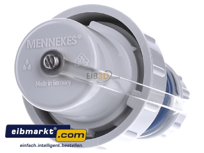 Front view Mennekes 10828 Schuko plug blue
