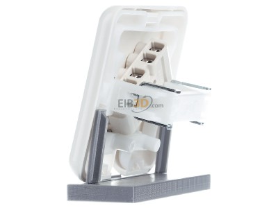 View on the right Busch Jaeger 3741 UJ Appliance connection box flush mounted 

