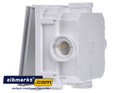View on the right ABL Sursum 1632500 Flush mounted mounted box
