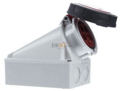 View on the left Mennekes 136A Wall-mounted CEE-socket CEE-Socket 63A 
