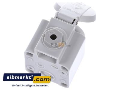 Top rear view Mennekes 10081 Socket outlet protective contact grey - 
