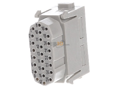 Back view Harting 09 14 025 3101 Socket insert for connector 25p 
