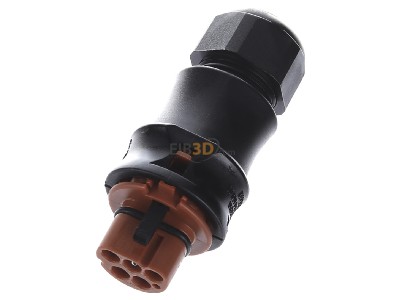 Ansicht oben vorne Wieland RST20I5SS1ZR2SVLBR01 Steckverbinder Stecker 5p,D=10-14mm,br 