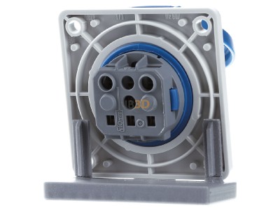 Ansicht hinten Mennekes 11011F Schuko-Anbau-Steckdose 16A 2p+E 230V bl 