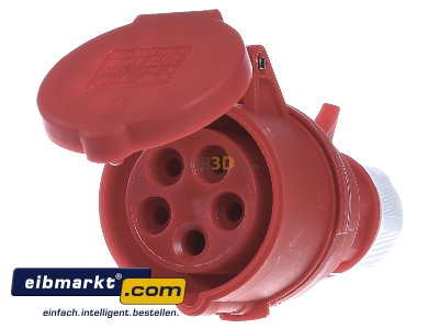 Front view Bals Elektrotech. 3136 CEE coupling 16A 5p 6h
