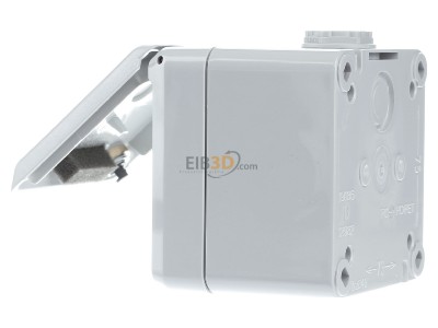 View on the right Mennekes 4360 2x RJ45 8(4) Data outlet Cat.6 
