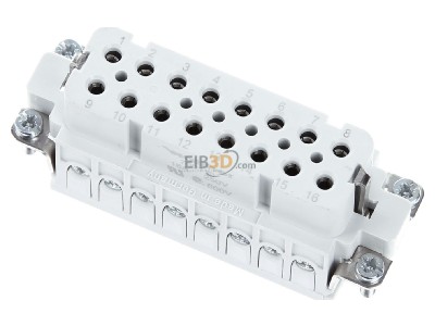 Ansicht oben vorne Walther 700116 Buchseneinsatz A16 0,5-2,5qmm 20-14AWG 