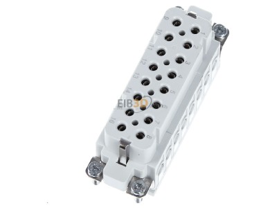 Ansicht oben rechts Walther 700116 Buchseneinsatz A16 0,5-2,5qmm 20-14AWG 