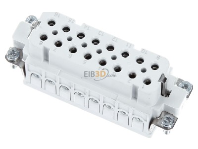 Ansicht oben hinten Walther 700116 Buchseneinsatz A16 0,5-2,5qmm 20-14AWG 