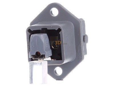 Ansicht hinten Hirschmann STASEI 2 gr EB-Stecker 