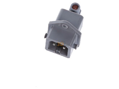 Ansicht oben vorne Hirschmann STASEI 2 gr EB-Stecker 