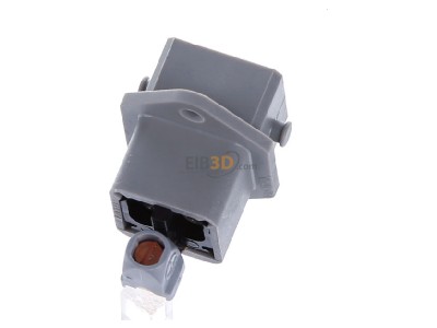 Top rear view Hirschmann STASEI 2 gr Sensor-actuator connector 
