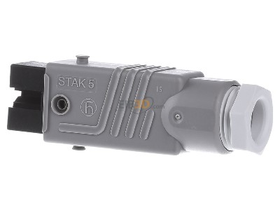 View on the right Hirschmann STAK 5 gr Sensor-actuator connector 
