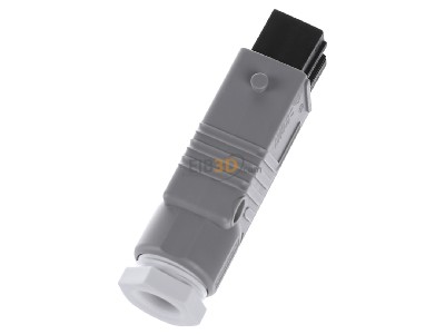 Top rear view Hirschmann STAK 5 gr Sensor-actuator connector 
