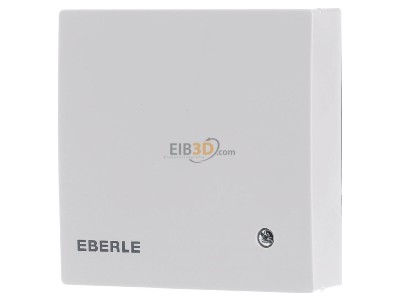 Frontansicht Eberle RTR-E 6145 Temperaturregler 