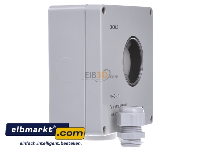Ansicht links Eberle Controls FTR-E-3121 Frostwchter 