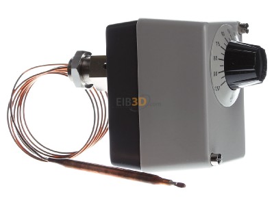 View on the left Jumo 603021/01-2-025 Temperature switch 

