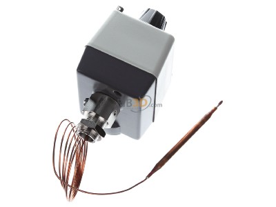 Top rear view Jumo 603021/01-2-025 Temperature switch 
