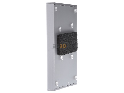 View on the right TCS PAK03-EN Door loudspeaker 3-button Silver 
