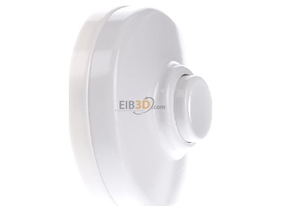 View on the left Grothe KKO 5050 Door bell push button surface mounted 
