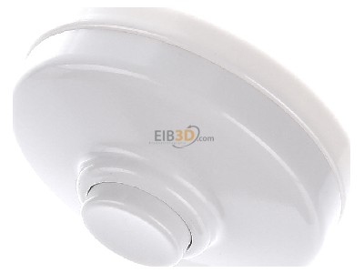 View up front Grothe KKO 5050 Door bell push button surface mounted 
