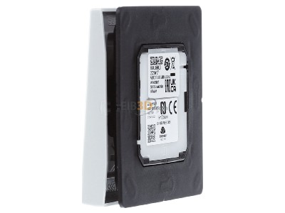 View on the right Jung ENO LS 990 LG Remote control for switching device 
