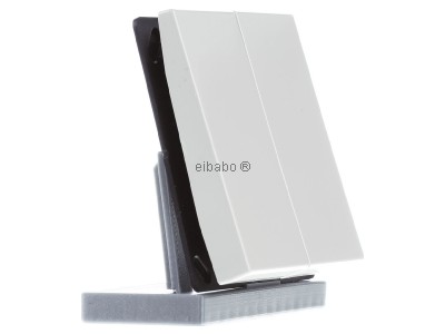 View on the left Jung ENO LS 995 Remote control for switching device 
