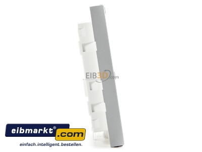 View on the left Ring module for door station silver TM 612-2 SM Siedle&Shne TM 612-2 SM
